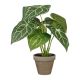 Planta artificial caladium 